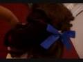Re: American Girl Doll Hair+Skit Contest