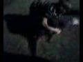 funny ass drunk fight