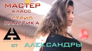 Мастер класс по стрипу Мастер класс по стрипу