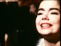released: december 1991
directed by: pedro romhanyi
song written by: the sugarcubes
song produced by: paul fox

the sugarcubes
    * bj�rk gu�mundsd�ttir (vocals, keyboards)
    * einar �rn benediktsson (vocals, trumpet)
    * sigtryggur baldursson (drums)
    * ��r eldon (guitar)
    * bragi �lafsson (bass)
    * einar melax (keyboards) - 1987-1989
    * margr�t (magga) �rn�lfsd�ttir (keyboards) - 1989-1992

www.bjork.com
