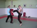 Front Kick