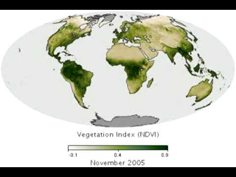 2000 02～2009 01 全球植物覆盖随时间变化