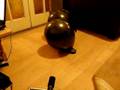 videos de Re: my burning laser