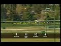 Feehan Stakes 07