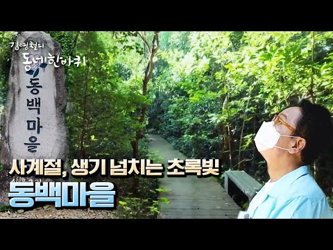 김영철의 동네 한 바퀴 - 꽃답다 동백마을