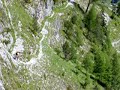 Brenner Grenzkamm Singletrail in Italien