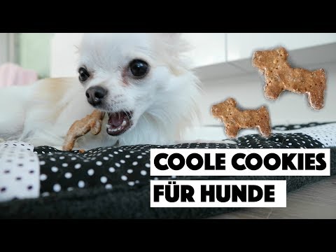 DEIN HUND WIRD ES LIEBEN! 🐶❤️ - COOLE COOKIES FÜR HUNDE BACKEN | DIY