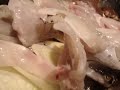 Fugu Blowfish Served Fresh....And Still Moving!