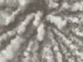 Trouver Amour (Jonas Brother Story) Ch.18 part 1