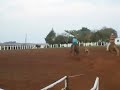 Purga e Diogo