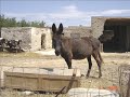 Nikos Xidis @ Ti malakas imoun