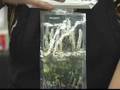 Flowers for Shade Gardens : Cimicifuga Flowers for Shade Gardens