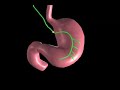 A medical animation dealing with the Vagus nerve, the brain and the stomach. This was completed in Maya and aftereffects. Yes, there is a typo in the title.