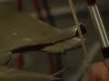 Bowed Cymbal Recording Bowed Cymbal Recording