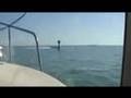 Intracoastal Series Vol 1 Hernando Beach - Clearwater