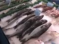 Our French Food Market