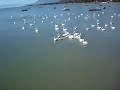 The Pier at  Chapala