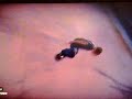 EA Skate (crazy transfers + tricks)