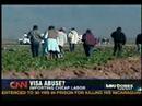 Lou Dobbs' segment on FOIA lawsuit against DOL