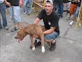 SPA DOG COMPANY - Red Machine Championship SPA DOG COMPANY - Red Machine Championship