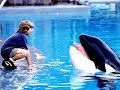 Free willy you're will be in my heart