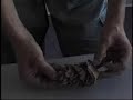 vincent-floderers-origami.html