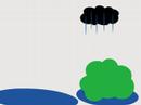 Peach and Bush #4 - Rain Peach and Bush #4 - Rain