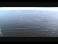Grassy Flats Charters