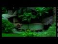 Thailand Tourism Video Tour