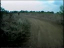 TORCS Cross Creek