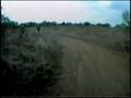 TORCS Cross Creek