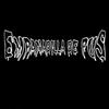 Empanadilla de pus-Belcro