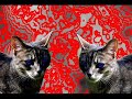 There's exactly one other Darkstripe tribute, and that's partly about Tigerstar. Well, actually, this one mentions Tigerstar, too. But, regardless of that, I thought that Darkstripe needed a tribute as much as Tigerstar, so I made this. The dialog in the following scene fits the song better than the book, but, oh, well: Darkstripe stands, on trial, before ThunderClan. Now, his deception has been revealed, now, everyone know what he's done. His mind drifts back over those things-- Sorrelkit's poisoning, his meetings with Blackfoot-- and forward, to the dark forest, where those who break the warrior code go. 
