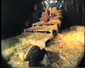 FILMS FROM GYOR -- ESCURIAL 3