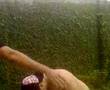 Assistir ao v�deo