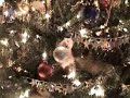 TREE ATTACK!! TREE ATTACK!!