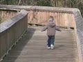 Nisqually Wildlife Refuge Part 1 Nisqually Wildlife Refuge Part 1