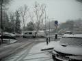 nieveeeeeeeeee 206