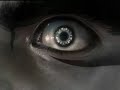 wd wd ld ld ld    iwr3  t5 mishima combo movie 