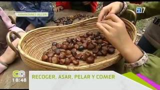 Amagüestos