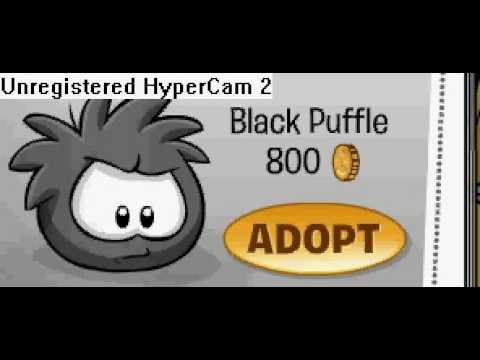 how to get more puffles without being a member