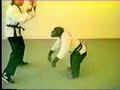 KUNG FU MONKY _ ANTARE KUNG FU KAR