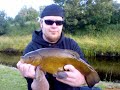 Tench