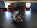 Clearing the Overhook from Closed Guard