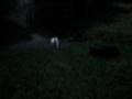 videos de Noomi & Samson ved Mudderpøl