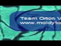 Team Orton Vs Team Triple H.mov