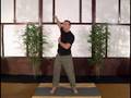 Scott Sonnon Intuflow Intermediate Part 1