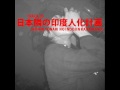 RoughSketch and 臨界モスキー党 