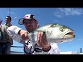DVD Pesca en Mar del Plata - Artificiales en Altamar