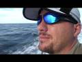 DVD Pesca en Mar del Plata - Artificiales en Altamar